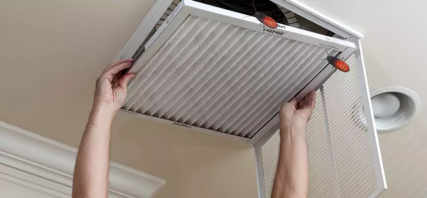 Our Insect Removal from Air Ducts Services in Aberdeen, MD