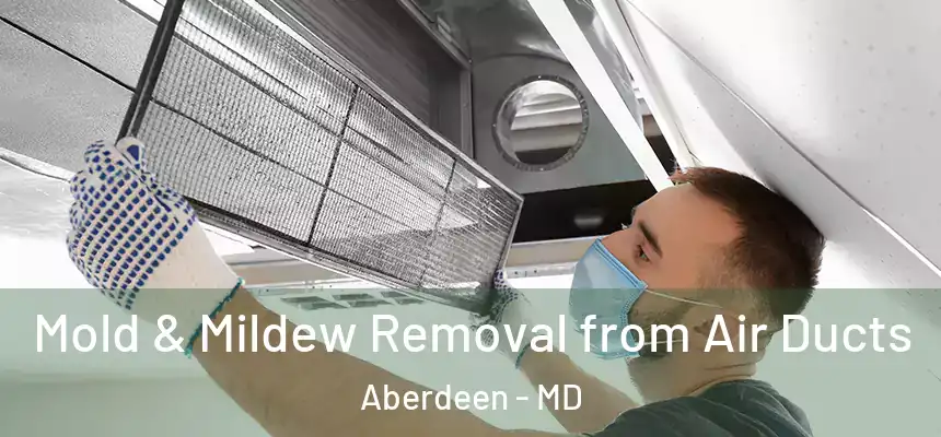 Mold & Mildew Removal from Air Ducts Aberdeen - MD