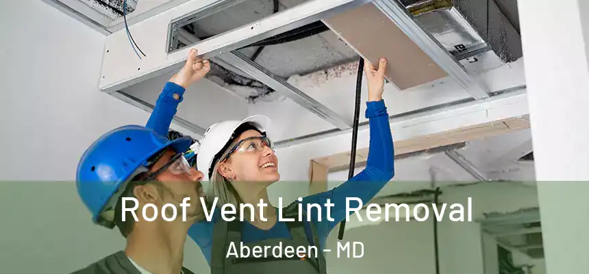 Roof Vent Lint Removal Aberdeen - MD