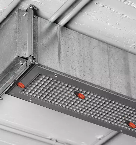 About Air Duct Cockroach Removal in Aberdeen, MD