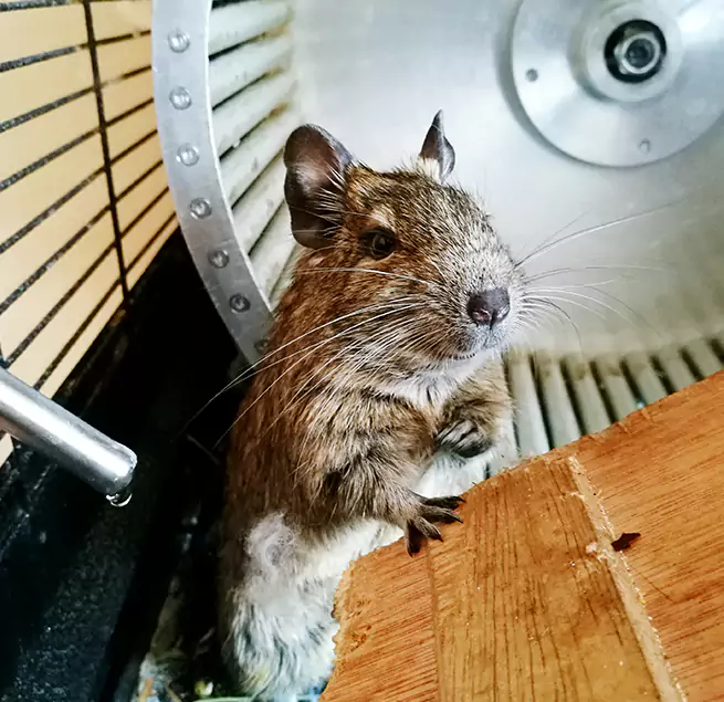 Why Homeowners & Businesses Trust Us Aberdeen, MD